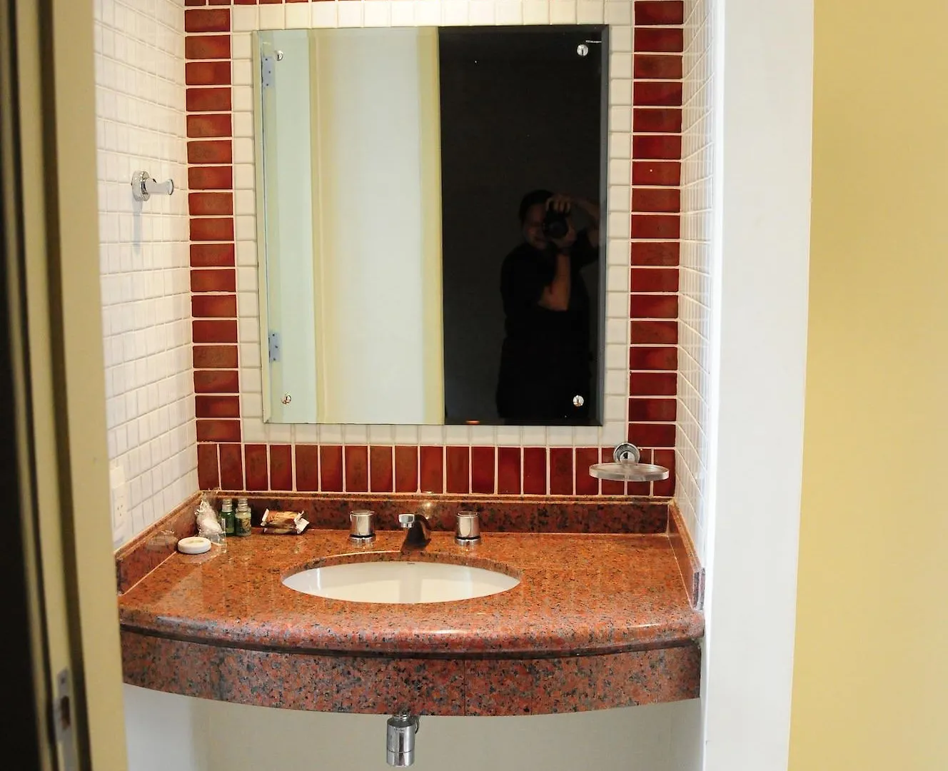 אפרטהוטל סאו פאולו Brasilia Santana Gold Flat מלון דירות